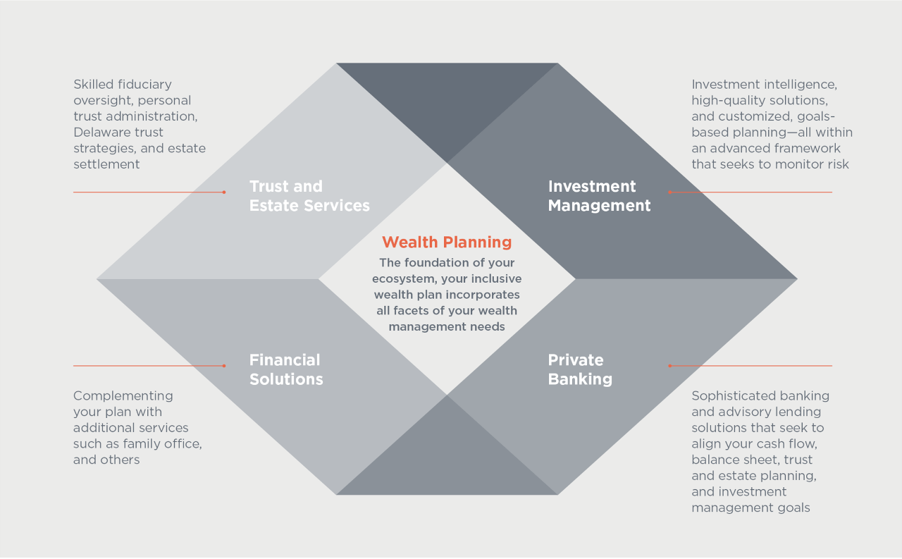 Overview of Wealth Planning Strategies, which is explained in the section that follows.